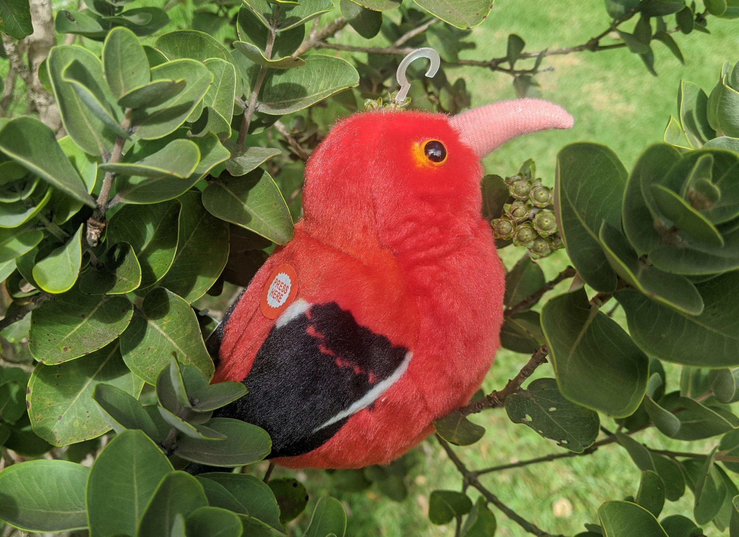 audubon plush birds with authentic sounds