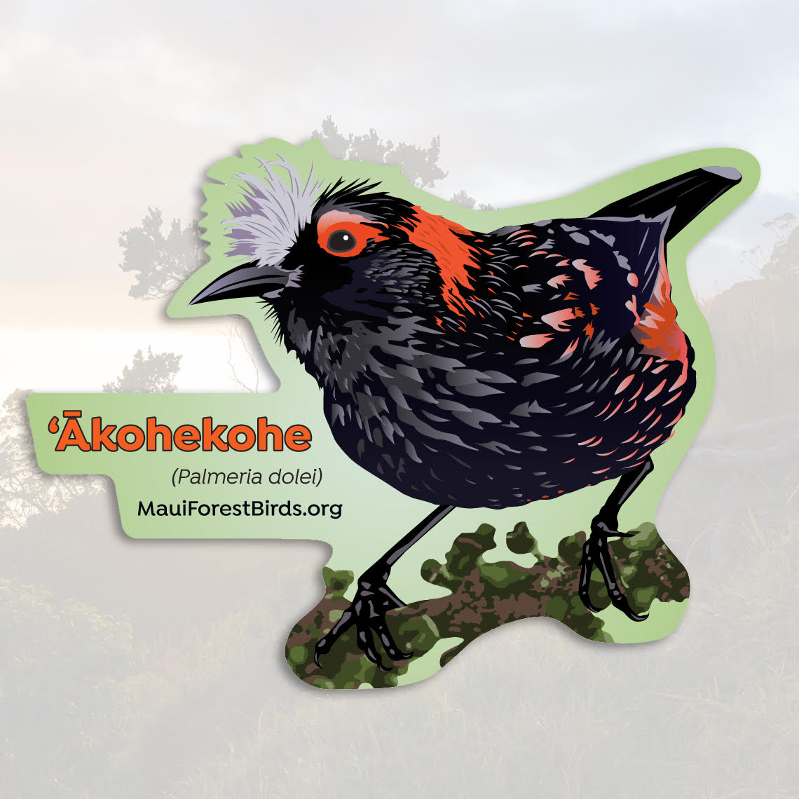 Illustrated Native Bird Stickers