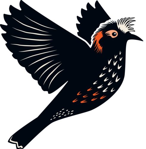 www.mauiforestbirds.org