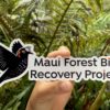 MFBRP Bumper Sticker - Image 2