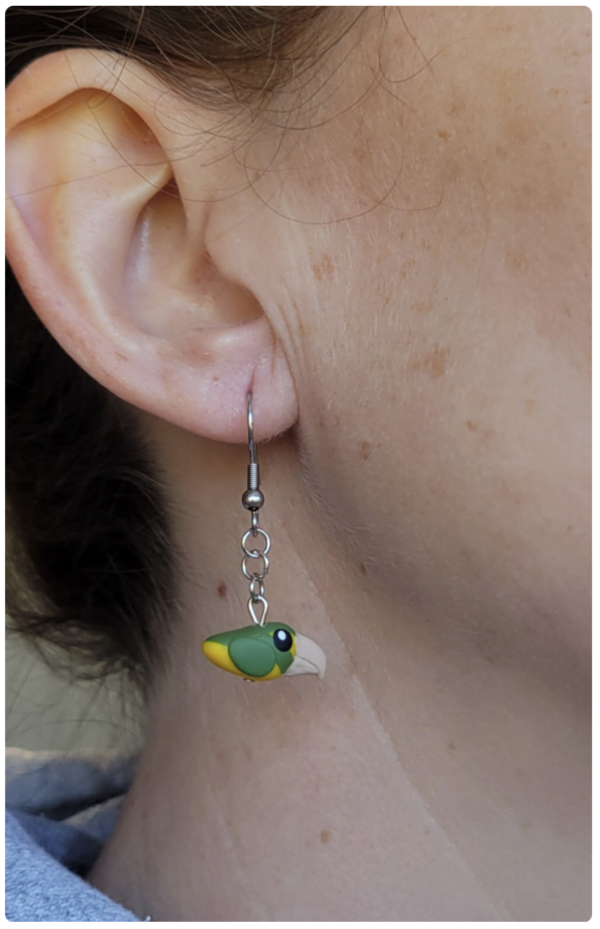Bird Earrings