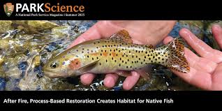 Park Science magazine