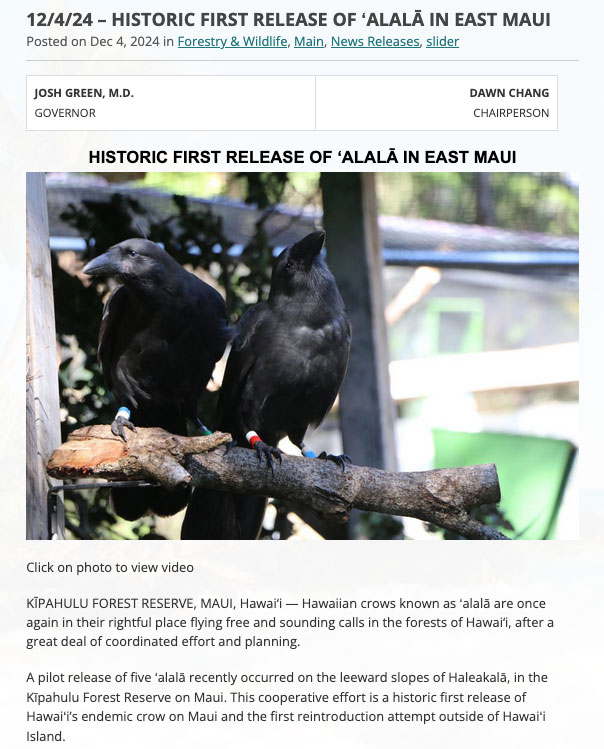 press release hawaii.gov