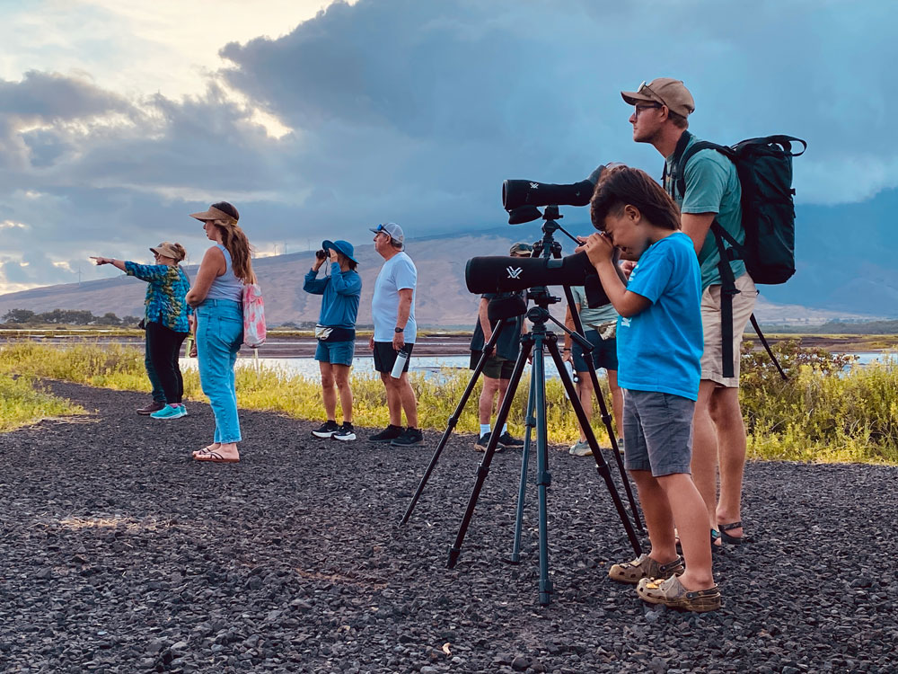 observation with MFBRP