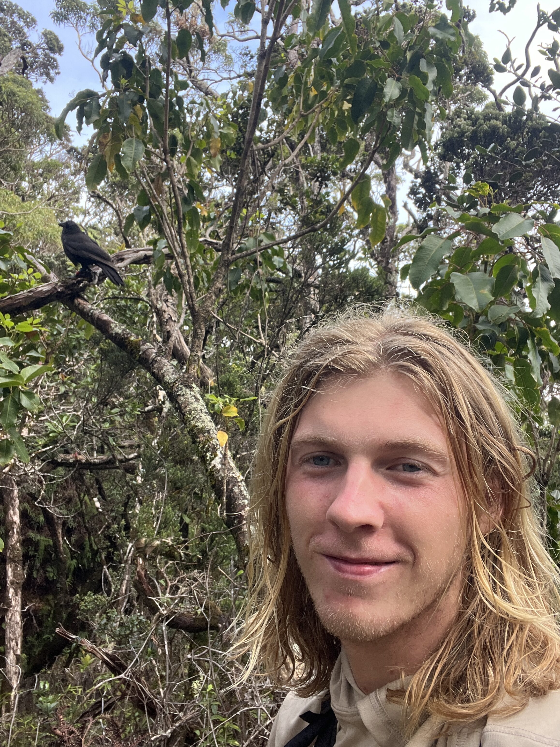 Nolan Rokke