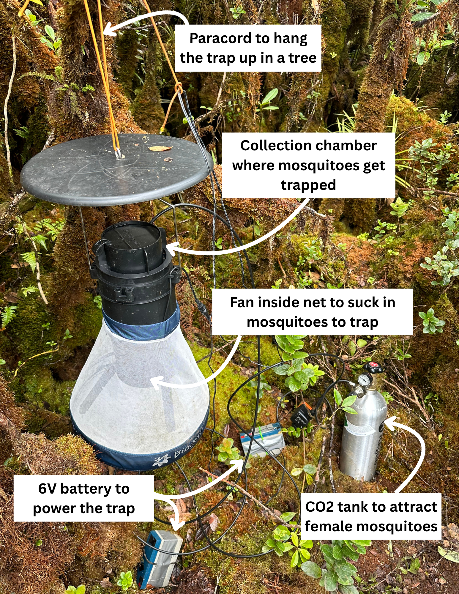 Trap diagram