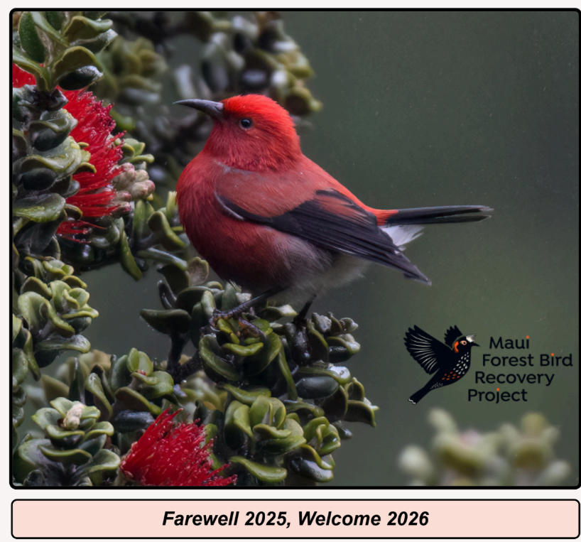 Welcome 2026